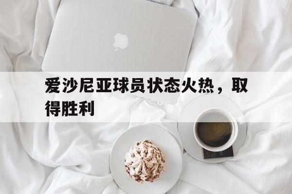 爱沙尼亚球员状态火热，取得胜利的简单介绍